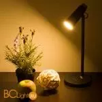 Настольная лампа Elektrostandard Joel TL70190 a048900 - Фото 1