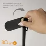 Настольная лампа Elektrostandard Joel TL70190 a048900 - Фото 3