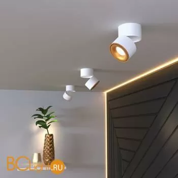 Спот Elektrostandard Klips DLR031 15W 4200K 3100 белый матовый/золото a050527 - Фото 2