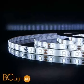 Светодиодная лента 2835 6500K 4.8Вт/м 60LED/м IP65 Elektrostandard a040996 - Фото 1