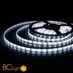 Светодиодная лента 2835 6500K 4.8Вт/м 60LED/м IP65 Elektrostandard a040996 - Фото 0