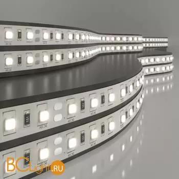 Светодиодная лента 5050 4200K 14.4Вт/м 60LED/м IP20 Elektrostandard a050540