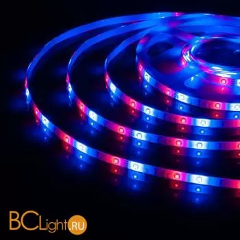 Светодиодная лента 2835 RGB 4.8Вт/м 60LED/м IP65 Elektrostandard a050579 - Фото 4