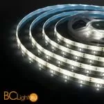 Светодиодная лента 5050 4200K 7.2Вт/м 30LED/м IP65 Elektrostandard a050584 - Фото 0