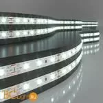 Светодиодная лента 2835 6500K 4.8Вт/м 60LED/м IP20 Elektrostandard a052955