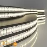 Светодиодная лента 2835 3300K 24Вт/м 240LED/м IP20 Elektrostandard a052979
