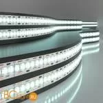 Светодиодная лента 2835 6500K 24Вт/м 240LED/м IP20 Elektrostandard a052981