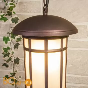 Уличный настенный светильник Elektrostandard Lepus GL 1016H a043646 - Фото 1