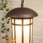 Уличный настенный светильник Elektrostandard Lepus GL 1016H a043646 - Фото 1