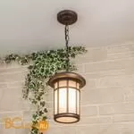 Уличный настенный светильник Elektrostandard Lepus GL 1016H a043646 - Фото 0