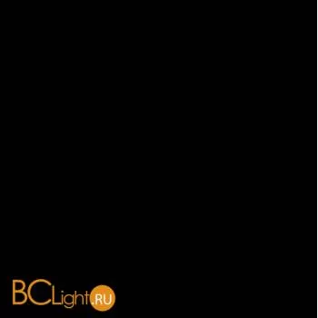 Уличный настенный светильник Elektrostandard Lepus GL 1016D a043644 - Фото 1