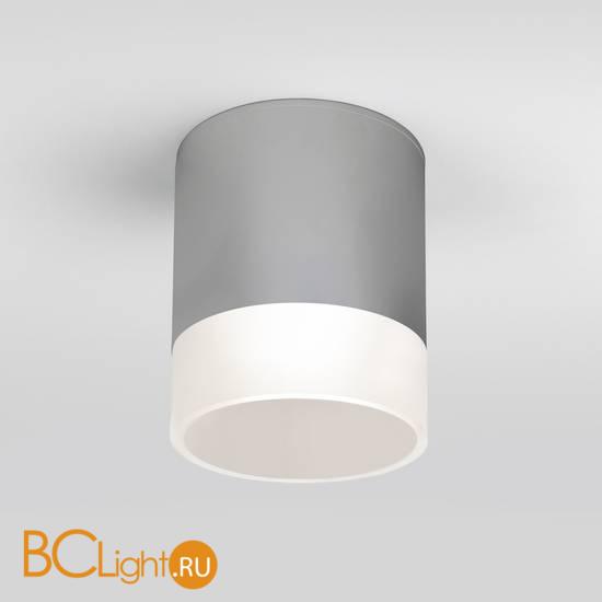 Уличный потолочный светильник Elektrostandard Light LED 35140/H серый a057161