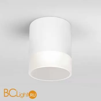 Уличный потолочный светильник Elektrostandard Light LED 35140/H белый a057160