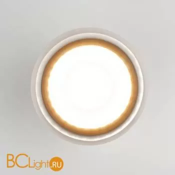 Уличный потолочный светильник Elektrostandard Light LED 35140/H черный a057159 - Фото 1