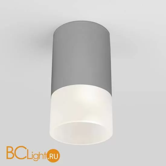Уличный потолочный светильник Elektrostandard Light LED 35139/H серый a057158