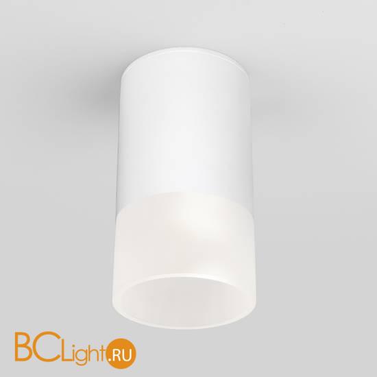 Уличный потолочный светильник Elektrostandard Light LED 35139/H белый a057157