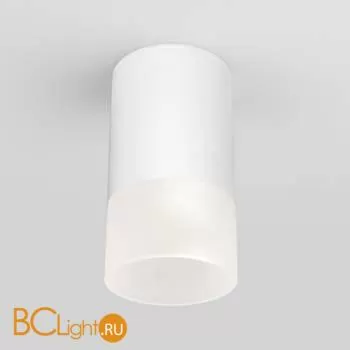 Уличный потолочный светильник Elektrostandard Light LED 35139/H белый a057157