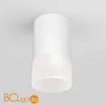 Уличный потолочный светильник Elektrostandard Light LED 35139/H белый a057157