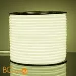 Светодиодный гибкий неон 2835 6500K 9.6Вт/м IP67 Elektrostandard a043547 - Фото 1