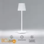 Садово-парковый фонарь Elektrostandard Mist new TL70220 белый a063928