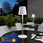 Садово-парковый фонарь Elektrostandard Mist new TL70220 белый a063928 - Фото 0