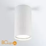 Накладной акцентный светильник Elektrostandard Mizar DLN111 GU10 a047754