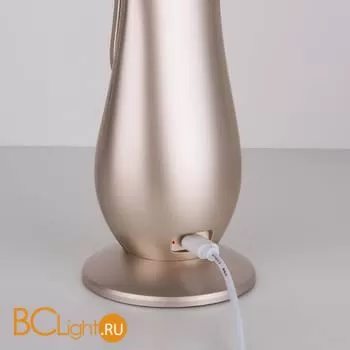 Настольная лампа Elektrostandard Orbit TL90420 a039090 - Фото 3