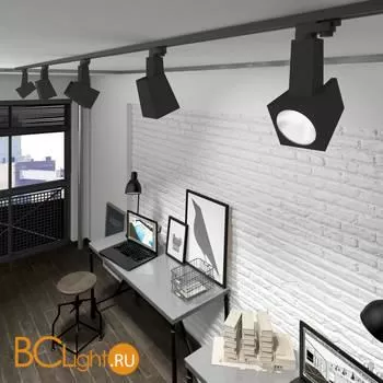 Трековый светильник Elektrostandard Perfect LTB14 a039304 - Фото 1