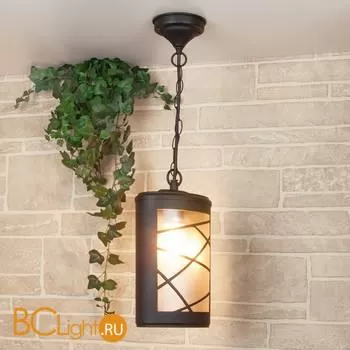 Уличный подвесной светильник Elektrostandard Premier GL 1017H a039857