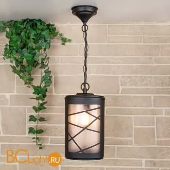 Уличный подвесной светильник Elektrostandard Premier GL 1017H a039857 - Фото 0
