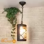Уличный подвесной светильник Elektrostandard Premier GL 1017H a039857