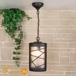 Уличный подвесной светильник Elektrostandard Premier GL 1017H a039857 - Фото 0