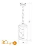 Уличный подвесной светильник Elektrostandard Premier GL 1017H a039857 - Фото 2