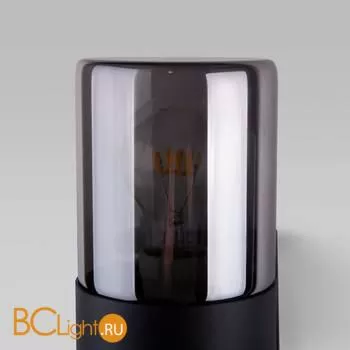 Уличный настенный светильник Elektrostandard Roil 35125/D a055636 - Фото 5