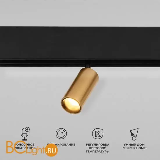 Трековый светильник Elektrostandard Slim Magnetic new 85071/01