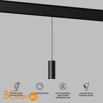 Трековый светильник Elektrostandard Slim Magnetic new 85072/01 a063533