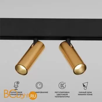 Трековый светильник Elektrostandard Slim Magnetic new 85056/01 a063527