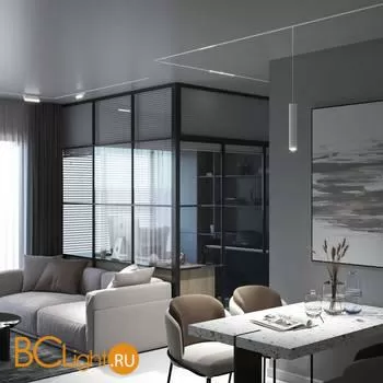 Трековый светильник Elektrostandard Slim Magnetic 85010/01 a059181 - Фото 0