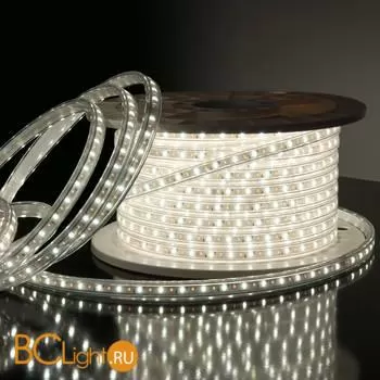 Светодиодная лента 2835 2700, 6500K 14Вт/м 96LED/м IP65 Elektrostandard a041343