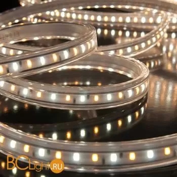 Светодиодная лента 2835 2700, 6500K 14Вт/м 96LED/м IP65 Elektrostandard a041343 - Фото 0