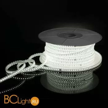 Светодиодная лента 2835 6500K 14.4Вт/м 120LED/м IP65 Elektrostandard a053640 - Фото 0