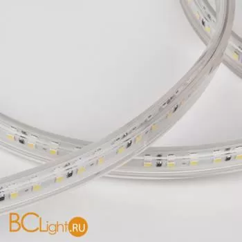 Светодиодная лента 2835 6500K 14.4Вт/м 120LED/м IP65 Elektrostandard a053640 - Фото 2