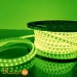 Светодиодная (LED) лента Elektrostandard Светодиодная лента 220V a033705