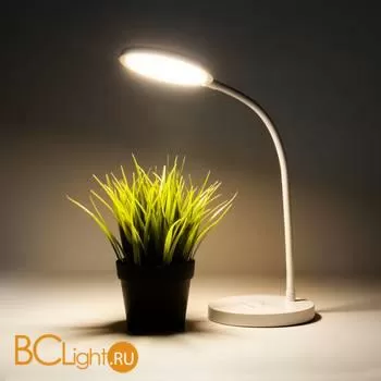 Настольная лампа Elektrostandard Tiara TL90560 a048742 - Фото 0