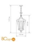 Уличный подвесной светильник Elektrostandard Virgo GLXT-1450H a031923 - Фото 0