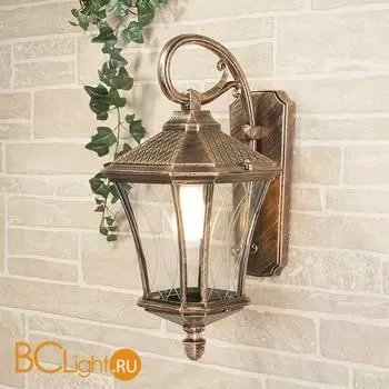 Уличный настенный светильник Elektrostandard Virgo GLXT-1450D a031926