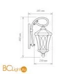 Уличный настенный светильник Elektrostandard Virgo GLXT-1450D a031921 - Фото 0