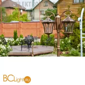 Садово-парковый фонарь Elektrostandard Virgo GLXT-1450F/2 a031930 - Фото 0