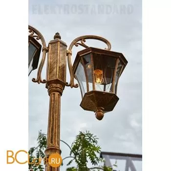 Садово-парковый фонарь Elektrostandard Virgo GLXT-1450F/2 a031930 - Фото 2
