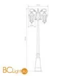 Садово-парковый фонарь Elektrostandard Virgo GLXT-1450F/2 a031930 - Фото 5